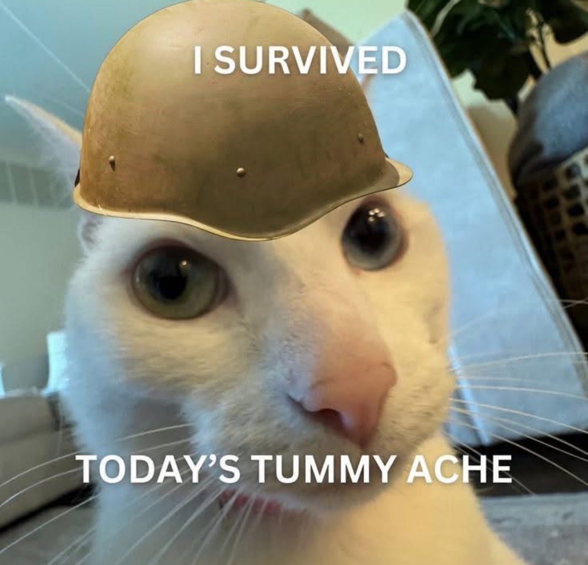 Recharge ASAP
