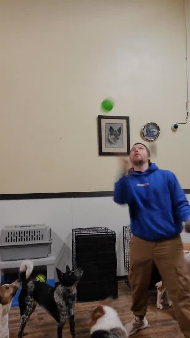 Hey that's pretty good - #248777453 added by satanpancakes at JUGGLING